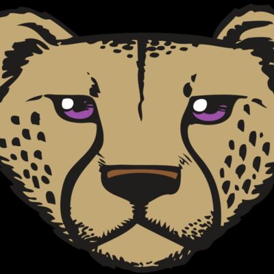 BAW CHEETAH 14 RC Thumbnail