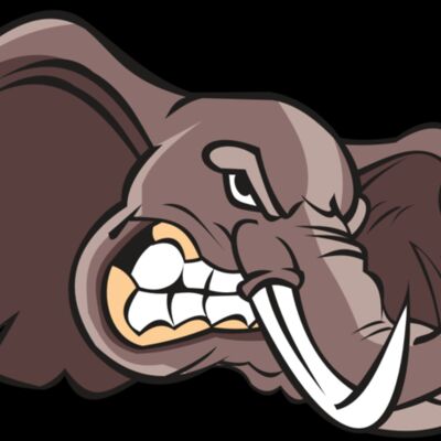 ELEPHANT HD0501 RQC Thumbnail