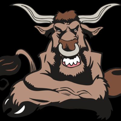 AR5 BULL 17 RQC Thumbnail