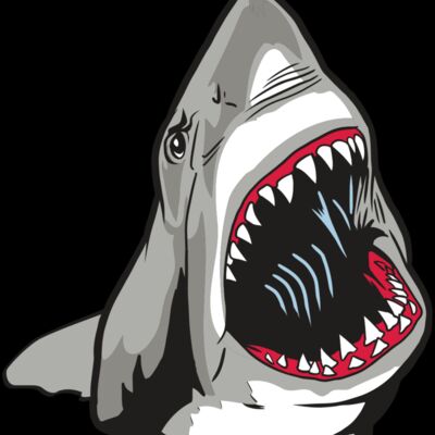 AR20 SHARK 45 RQC Thumbnail