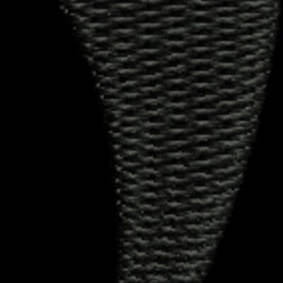 372597 Thumbnail