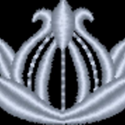 NZ800 Thumbnail