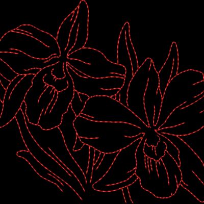 FP172 Thumbnail