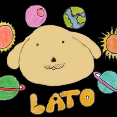 dog LATO TRANSPARENT Thumbnail